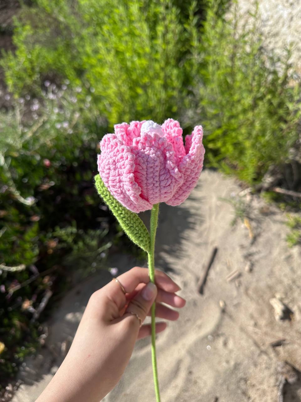 Tulip Rabbit